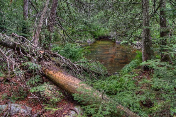 Lake Superior Provincial Park je na břehu jezera v Severní Ontario, Kanada — Stock fotografie