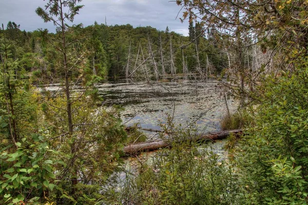 Lake Superior Provincial Park si trova sulla riva del lago nell'Ontario settentrionale, Canada — Foto Stock