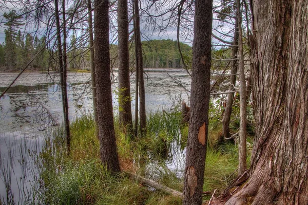 Lake Superior Provincial Park si trova sulla riva del lago nell'Ontario settentrionale, Canada — Foto Stock