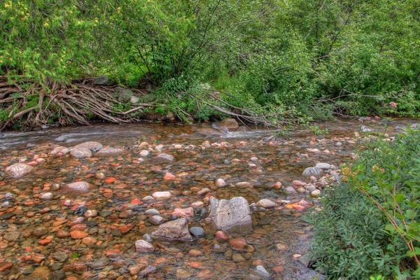 Superior gölünün il Park Kuzey Ontario, Kanada'da gölün kıyısında istiyor — Stok fotoğraf