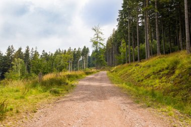 Dağlarda karınca yuvası