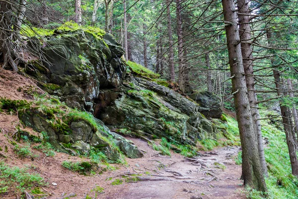 Landscape of mountains — Stock Photo, Image