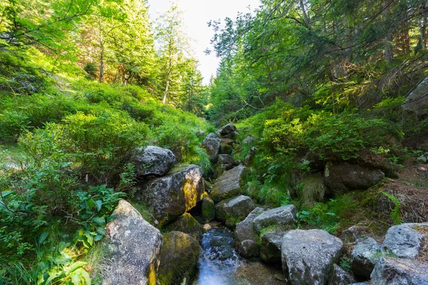 The brook in mountain — Stock Photo, Image