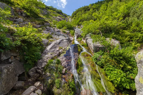 Potok v horách — Stock fotografie
