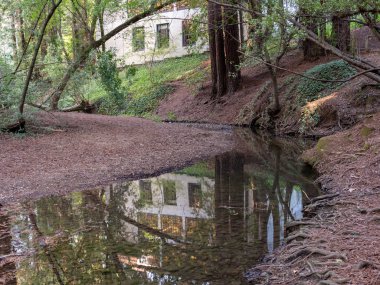 Binanın arkasındaki ormanda sığ dere