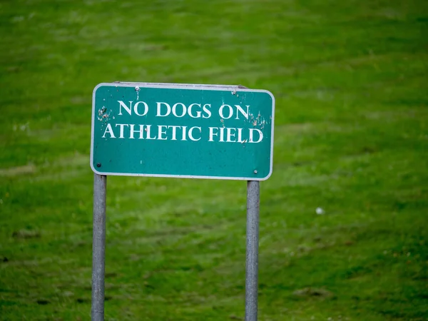 "Tidak ada anjing di bidang atletik "tanda di taman — Stok Foto