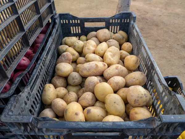 Tiro aéreo de patatas fritas listas para el mercado — Foto de Stock