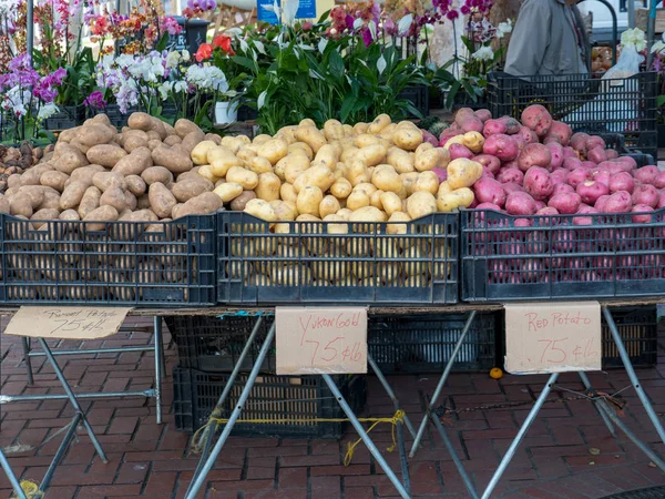 Yukón, russet y patatas rojas a la venta en el mercado de agricultores — Foto de Stock