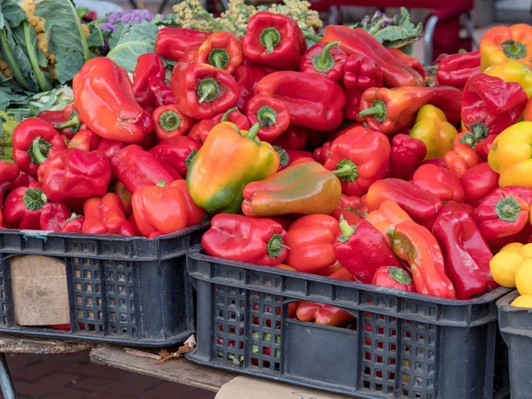 Pimientos rojos a la venta en stand en el mercado del agricultor — Foto de Stock