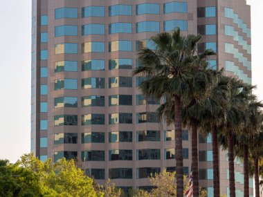 Palmiye sokak standı dışında modern ofis binası