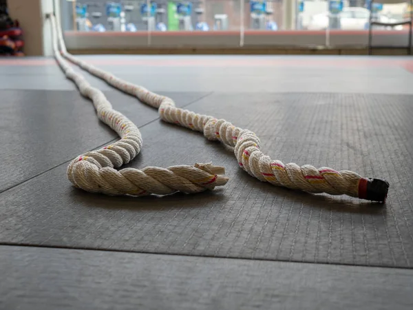 Battle ropes exercise attached to wall, floor level view