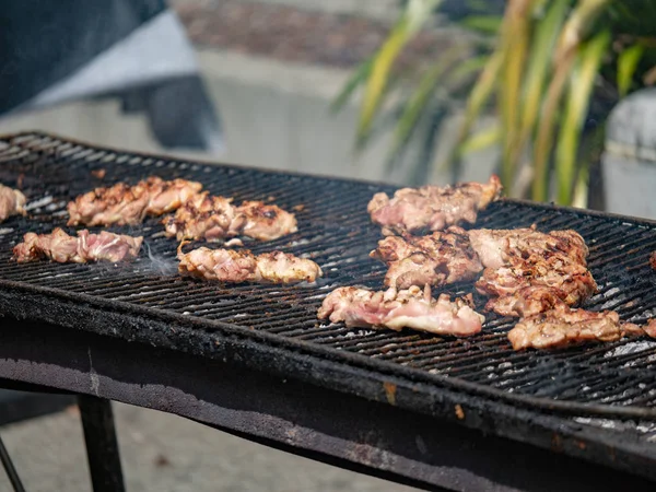 Pedazo de cerdo sentado en una parrilla — Foto de Stock