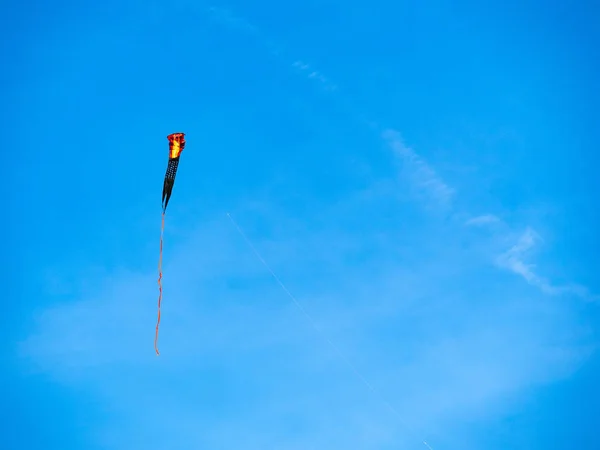 Kobra-Drachen fliegen hoch an einem sonnigen Tag — Stockfoto