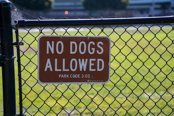 No dogs allowed sign on black fence on gate of grassy park