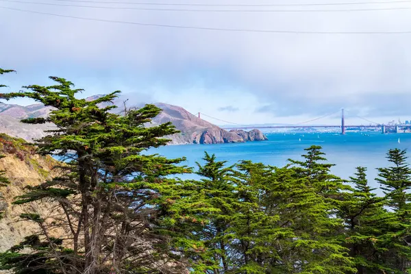 Puente Golden Gate y horizonte de San Francisco visto desde Marín detrás de árboles naturales —  Fotos de Stock