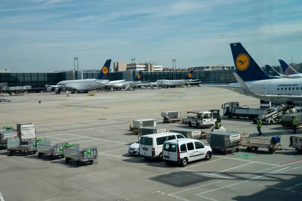 Varios aviones Lufthansa en la terminal de pista en el aeropuerto de Frankfurt — Foto de Stock