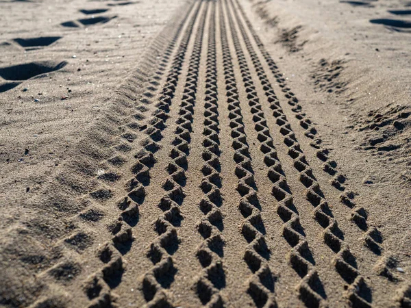 Vista da vicino dei segni del battistrada dei pneumatici sulla sabbia della spiaggia — Foto Stock