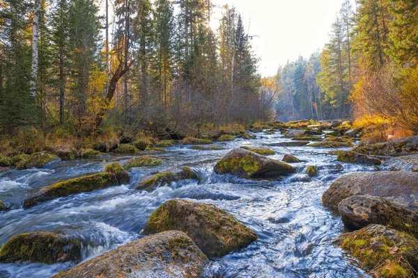 Herbstlandschaft auf einem Waldfluss. — Stockfoto