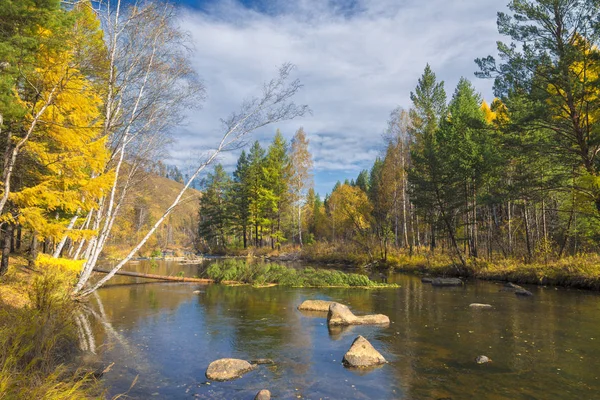 Floden i skogen höst. Alaska. — Stockfoto