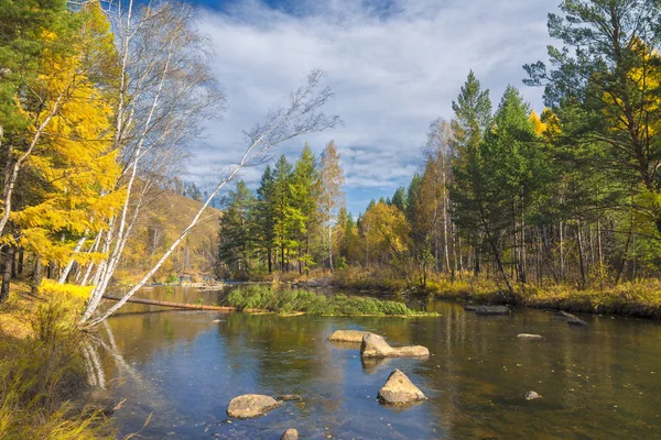 Fluss im Herbstwald. alaska. Stockfoto