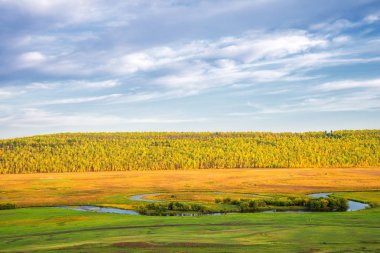 Güzel sonbahar manzarası.