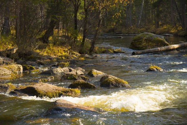 Autumn landscape on the taiga river. — Stock Photo, Image