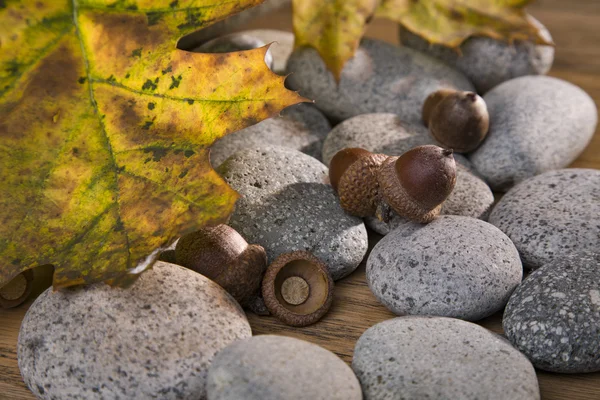 Maíz y hojas de otoño sobre piedras de río —  Fotos de Stock