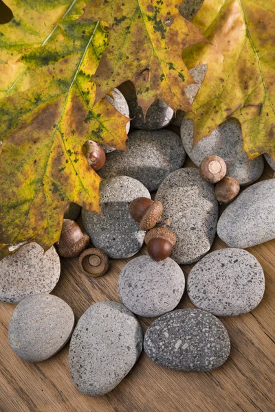 Herbstblätter und Eicheln auf Flusssteinen — Stockfoto