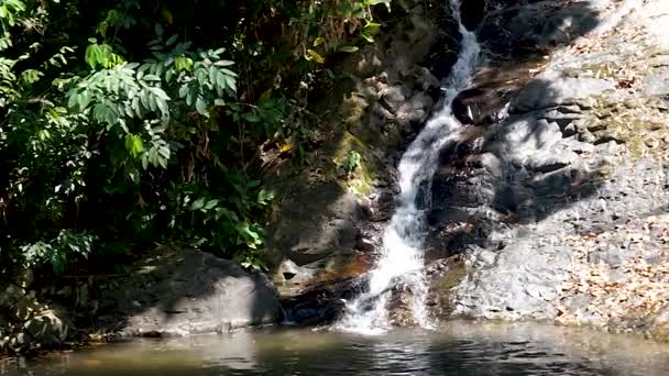 Cachoeira Tropical Paradise Loop — Vídeo de Stock