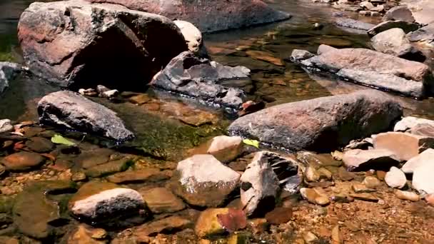 Agua Limpia Del Lago Cerca Cascada Con Piedras Pequeños Peces — Vídeo de stock