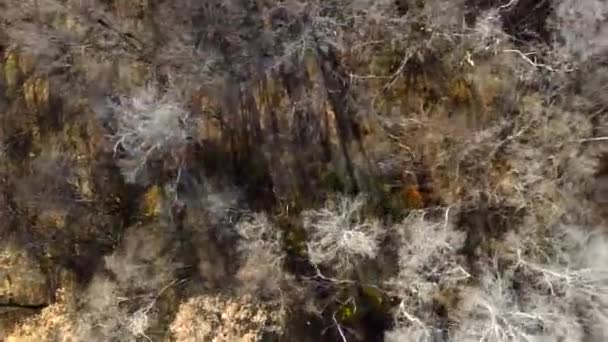 Lot dronem nad jesiennym lasem. Jesienne drzewa. — Wideo stockowe