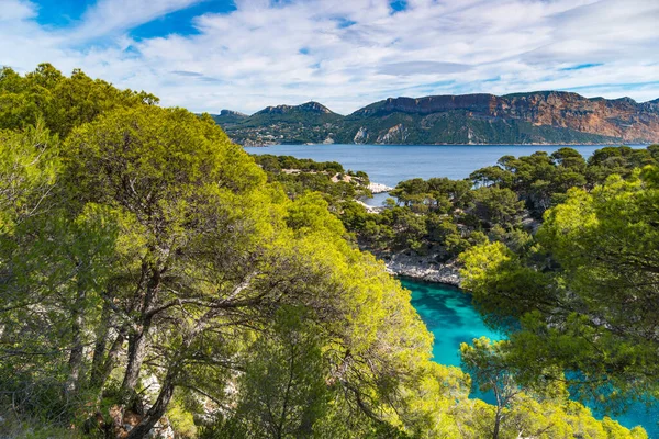 Calanques Fransa azure Sahil güzel doğası.