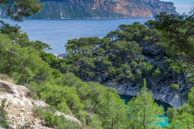 Ormandan harika bir manzara, Cassis balıkçı köyü yakınlarındaki Calanques Ulusal Parkı, Provence