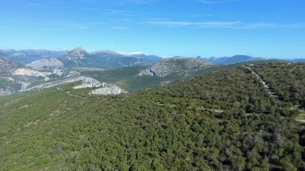 Vue aérienne - Vue panoramique sur les gorges du Verdon. — Video