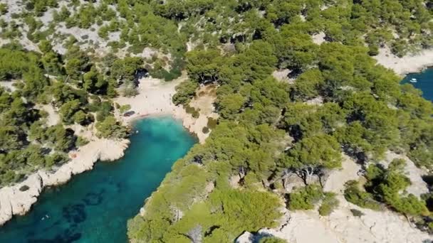 Drone εναέρια βίντεο από την ακτή της άγριας φύσης Corse σε ηλιόλουστη με γαλάζιο χρώμα στη θάλασσα. — Αρχείο Βίντεο