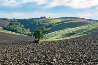 Toskana 'nın güzel manzarası. Dalga tepeleri bulutlu gökyüzü ile yeşil çimenleri kaplıyordu. Toskana, İtalya