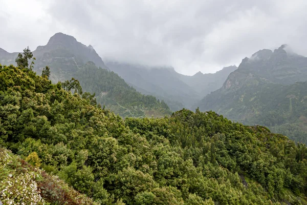 Yağmur sırasında Madeira adasındaki yeşil dağların güzel manzarası — Stok fotoğraf