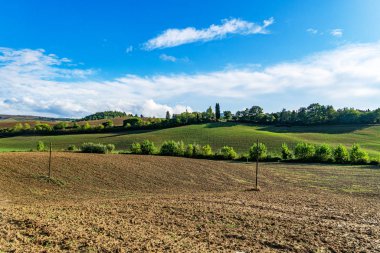 Toskana çok güzel, çok fotojenik bir manzara.