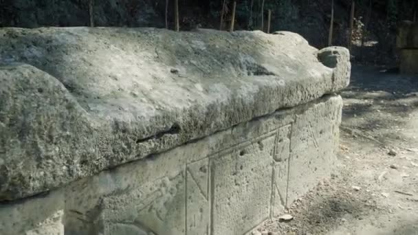 Ancient roman necropolis Les Alyscamps in Arles, Provence — 비디오