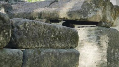 Arles, Provence 'deki antik Roma mezarlığı Les Alyscamps