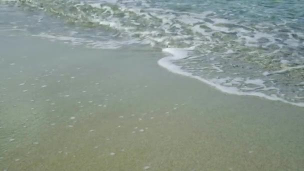 Turkuaz okyanus dalgaları, tropikal adanın huzurlu kıyılarında süzülüyor. — Stok video