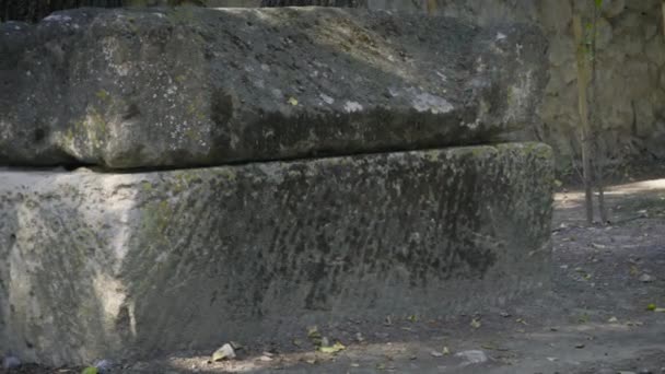 Ancient roman necropolis Les Alyscamps in Arles, Provence — 비디오