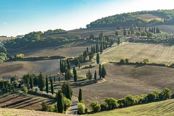 Road with curves and cypresses in Tuscany — 스톡 사진