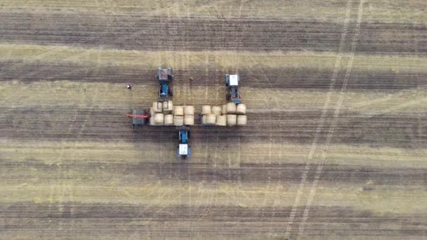 Tracteur agricole chargeant des meules de foin sur un champ agricole. Rouleaux de paille de chargement de processus — Video