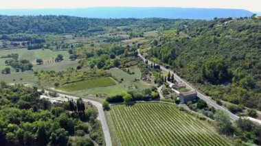 Provence 'deki üzüm bağıyla manzara.