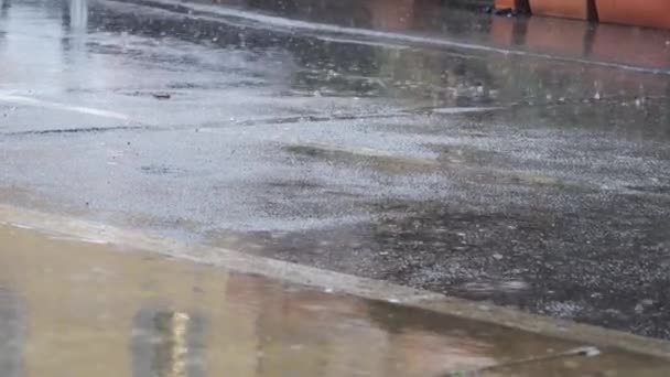 Pluie dans les rues. Chute de la pluie — Video