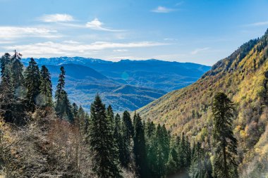 Ormanlı dağ manzarası güneşli bir günde yamaçlar, doğa manzarası