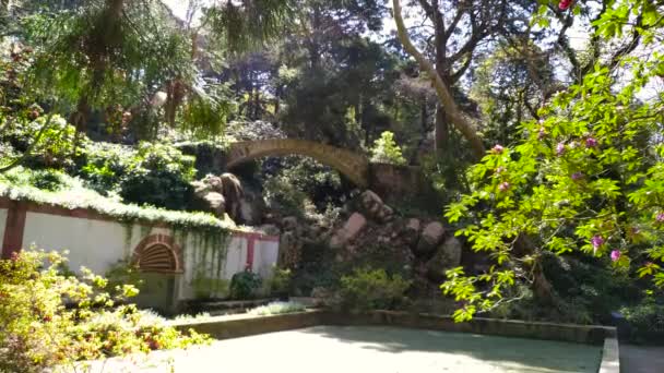 Sintra garden near the famous Pena palace in Sintra — Stock Video