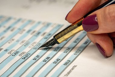 Finansal gelir beyanı, kadın el yazısı ile rakamlar.