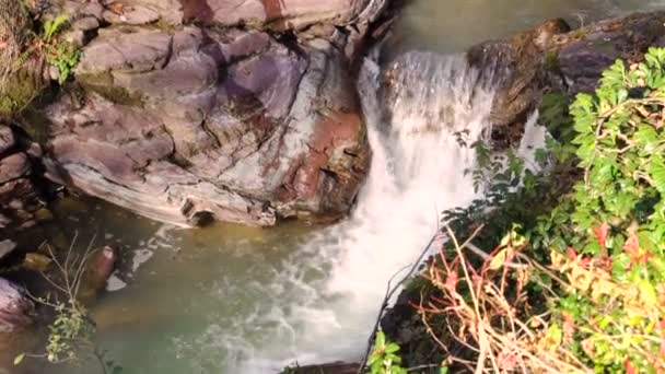 Cascada escénica fluye de río de montaña a través del bosque — Vídeos de Stock